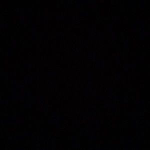 Meet your Posher, Natasha